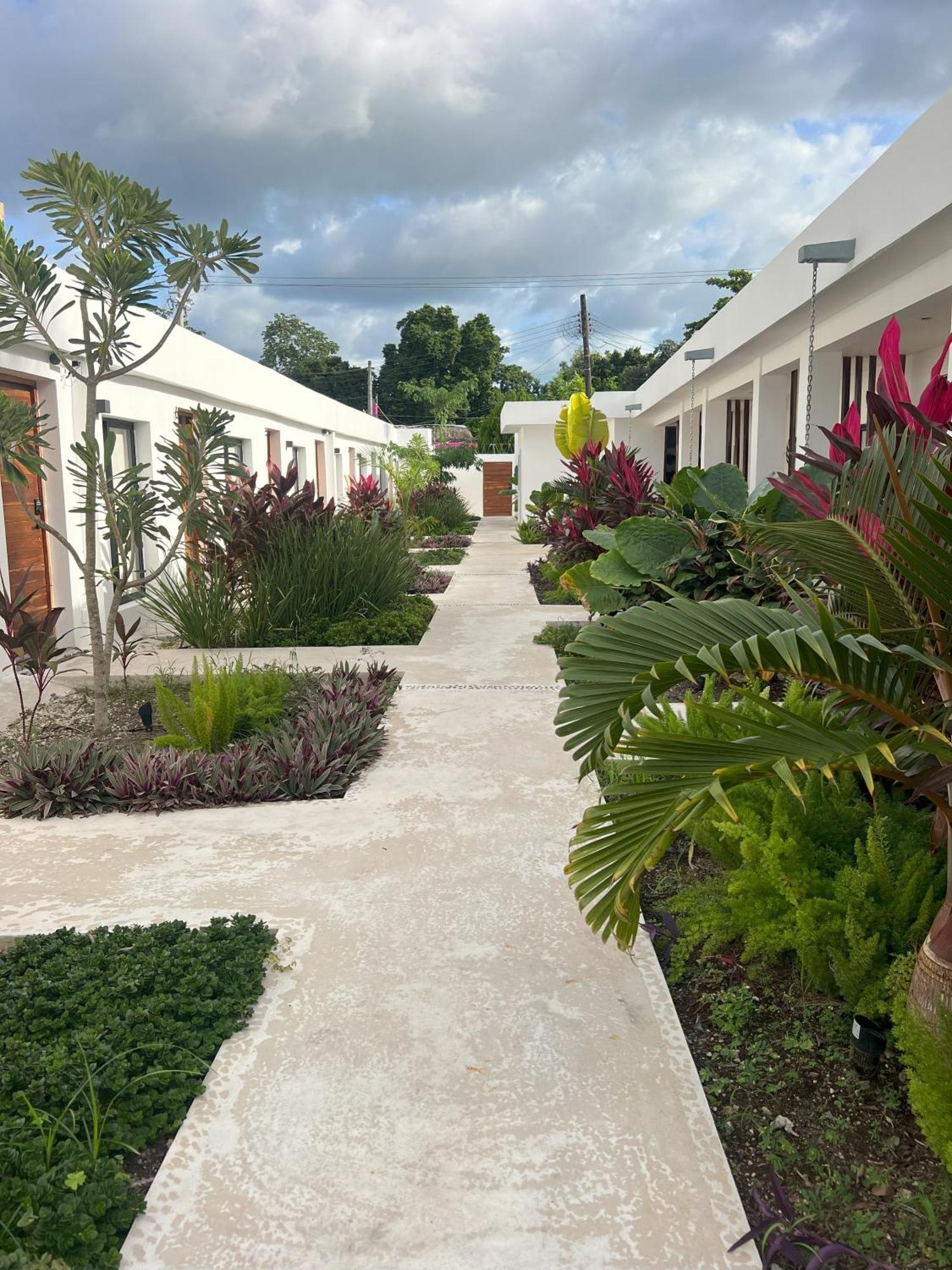 Illa Cozumel Hotel Bagian luar foto